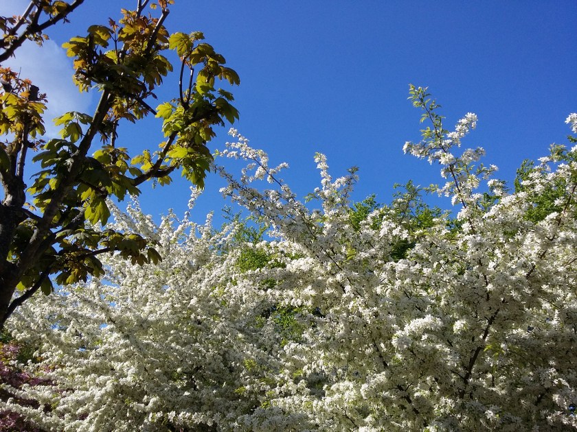 20150514_170507
