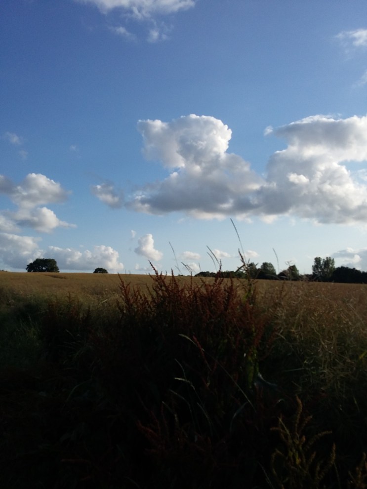 20150709_193648
