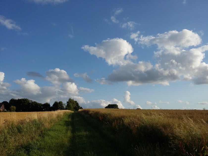 20150709_193901