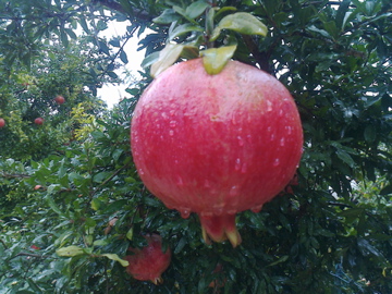 Farbe gegen das Grau