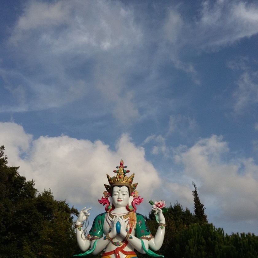 20150916_173402.jpg