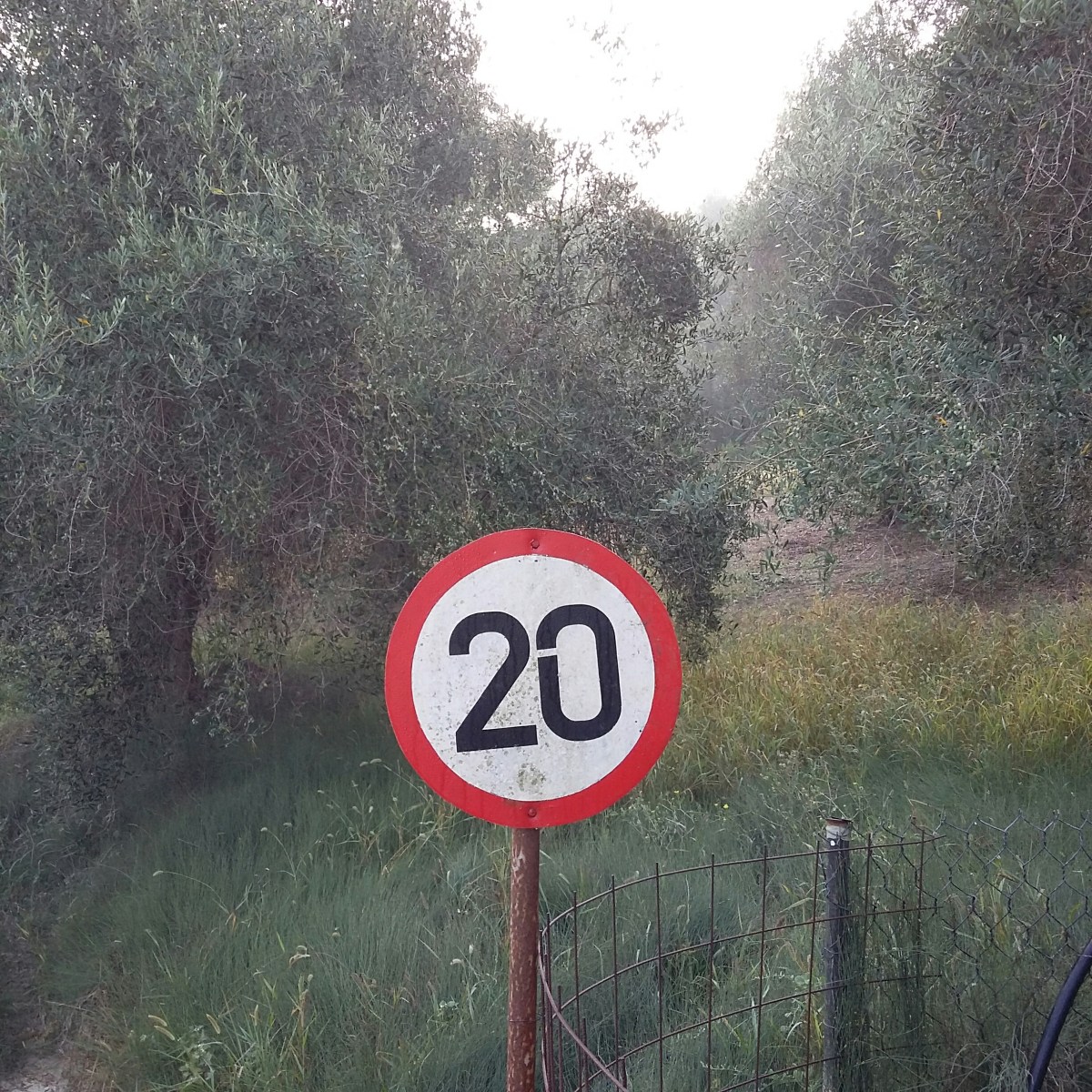 Tagesgeschwindigkeit 