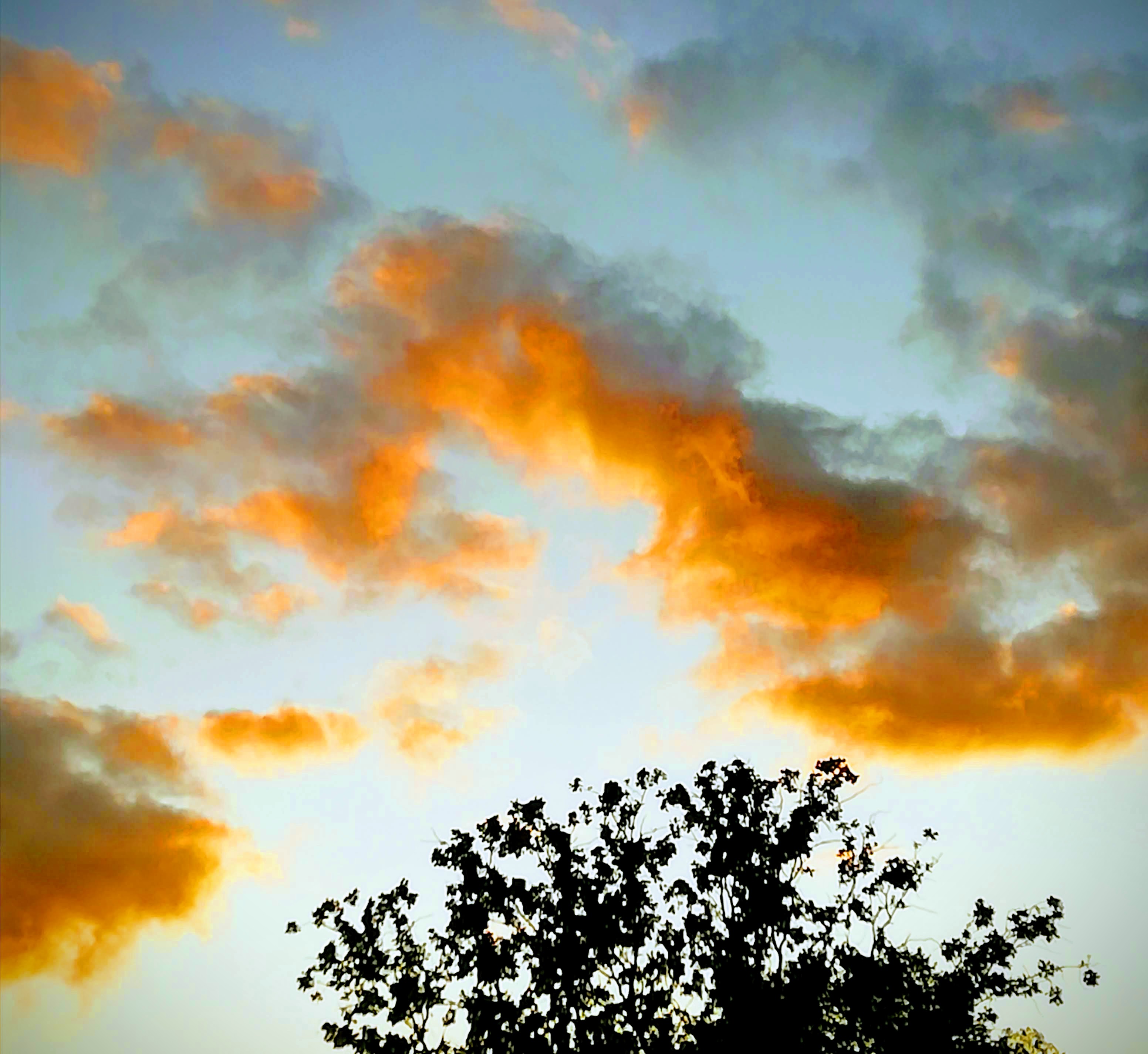 IMG_20191003_185327-EFFECTS.jpg